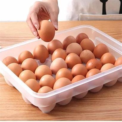 30lu Yumurta Saklama Kabı