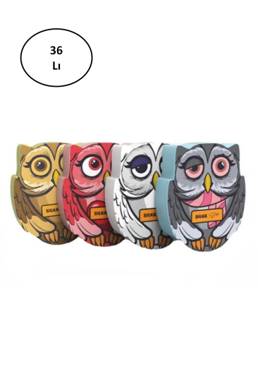Silka Silgy Owl Serisi Silgi 36’lı